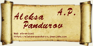 Aleksa Pandurov vizit kartica